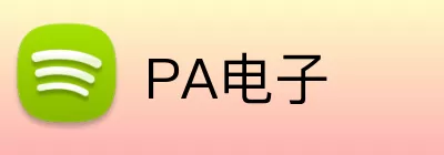 PA电子 logo